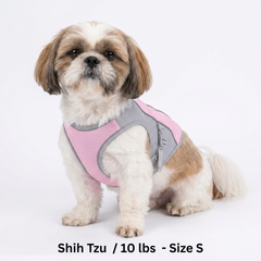CoolPaws⢠Evaporative Cooling Dog Vest