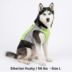 CoolPaws⢠Evaporative Cooling Dog Vest