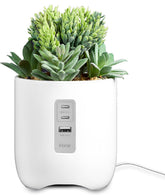 Modern Plant Charging Hub