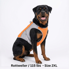 CoolPaws⢠Evaporative Cooling Dog Vest