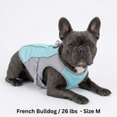 CoolPaws™ Evaporative Cooling Dog Vest