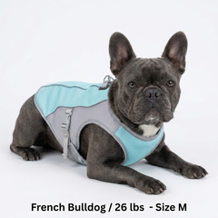 CoolPaws⢠Evaporative Cooling Dog Vest