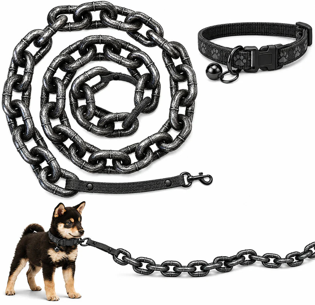 Small Dog. Big Entrance